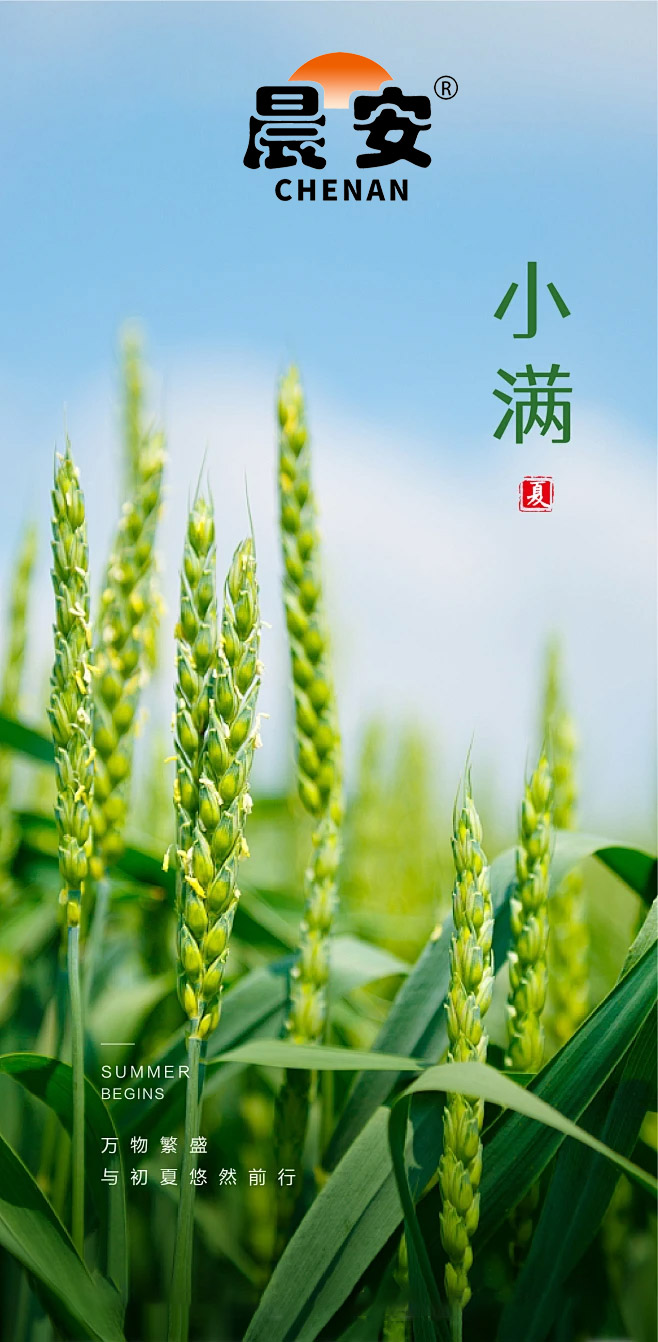 小满