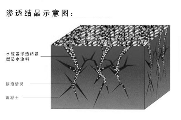 水泥基渗透结晶型防水涂料防水原理图.jpg