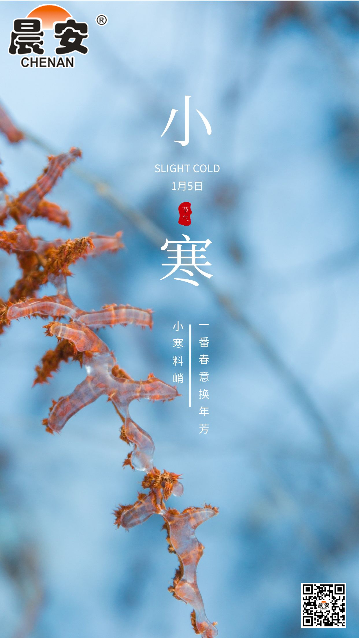 晨安小寒.jpg