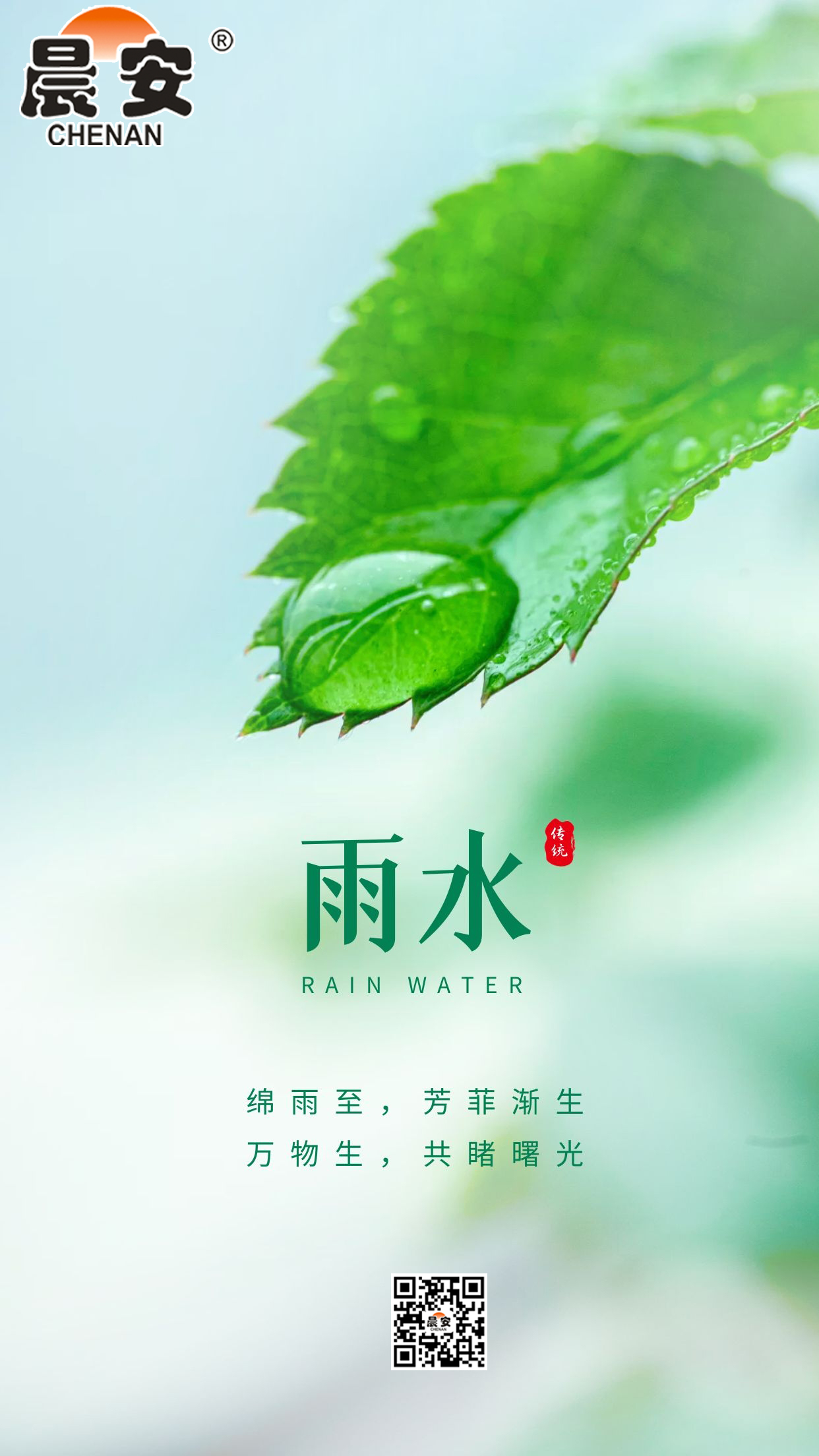 晨安雨水.jpg